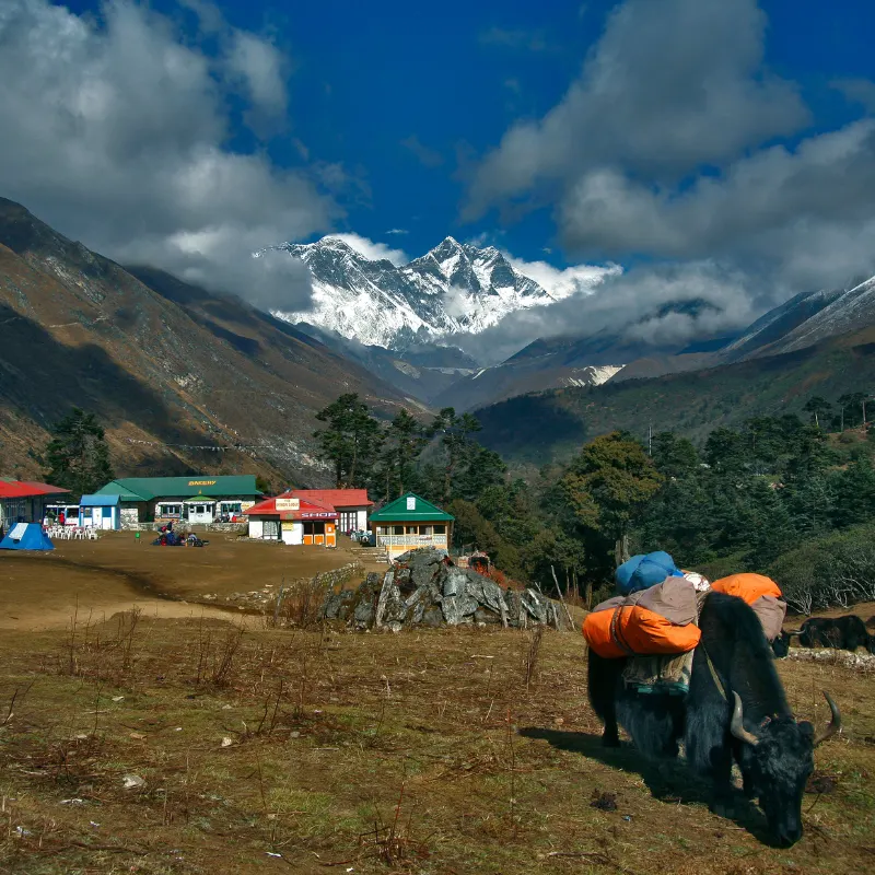 tengboche village