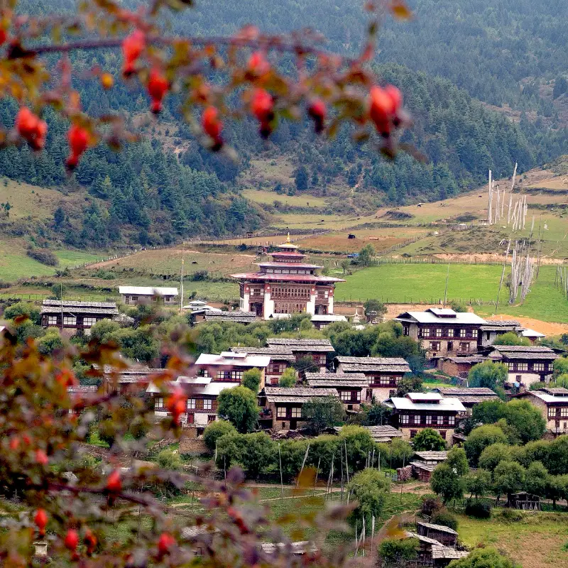 bumthang city