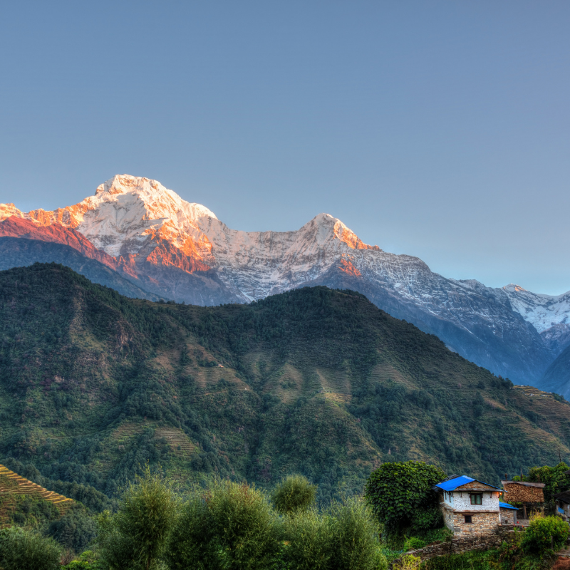 Golden alpenglow illuminates the snow-capped peak of Annapurna mountain at sunrise in Nepal.