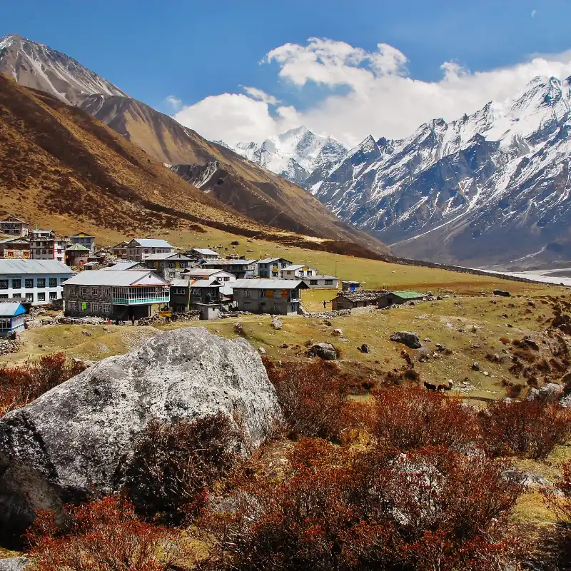 Himalayan trekking village with multi-story teahouses in an open alpine basin under snow-capped peaks.