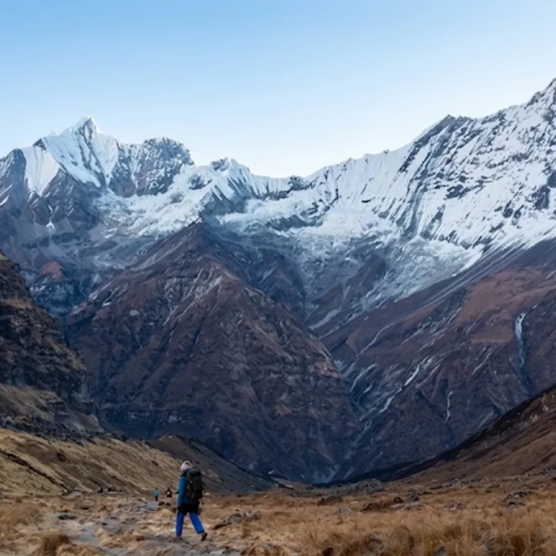A lone trekker walking along a high-altitude mountain path toward an imposing, snow-covered Himalayan peak.