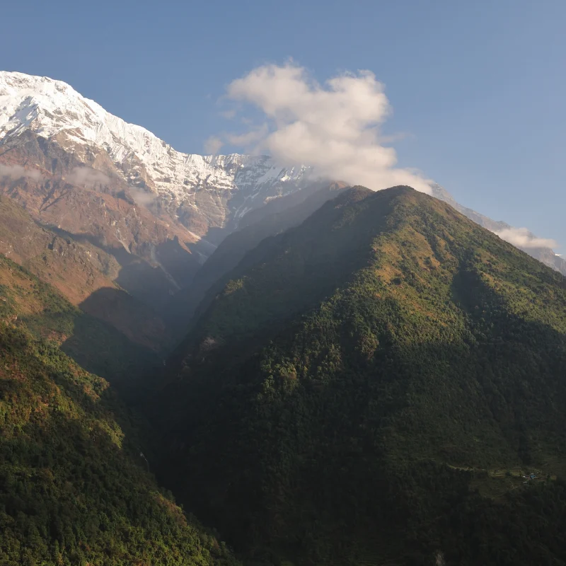 Steep forested mountain slopes leading up to the snow-covered peak of Mount Machhapuchhre in Nepal.
