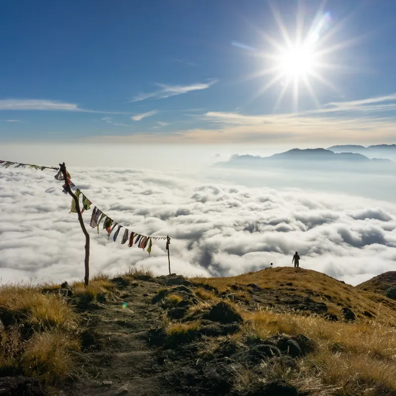 Mardi Himal trail