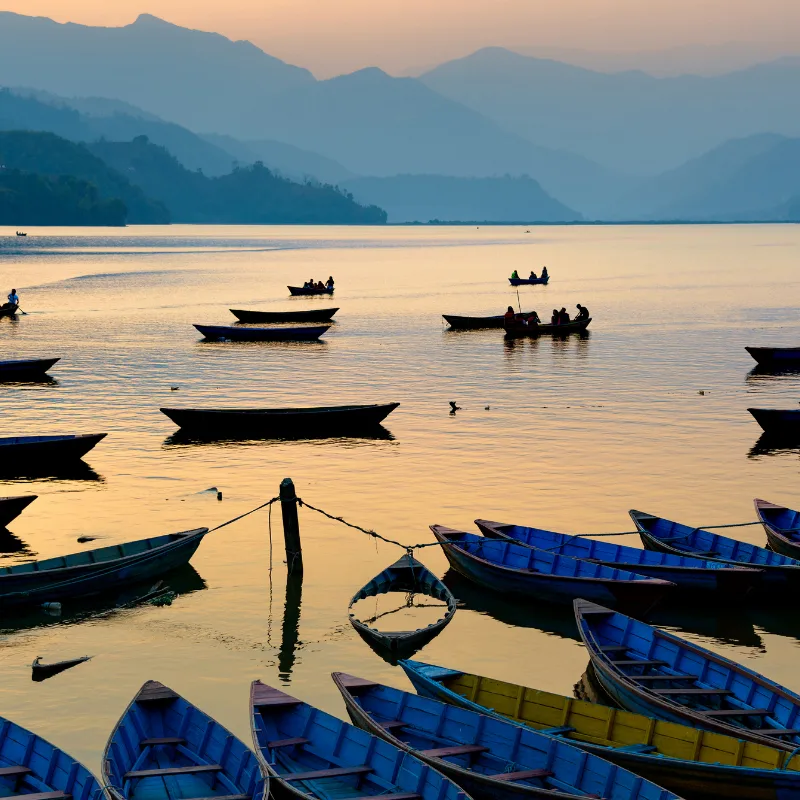 Brightly colored wooden rowboats moored on the calm waters of a lake at sunrise, with silhouettes of distant mountains in Nepal.